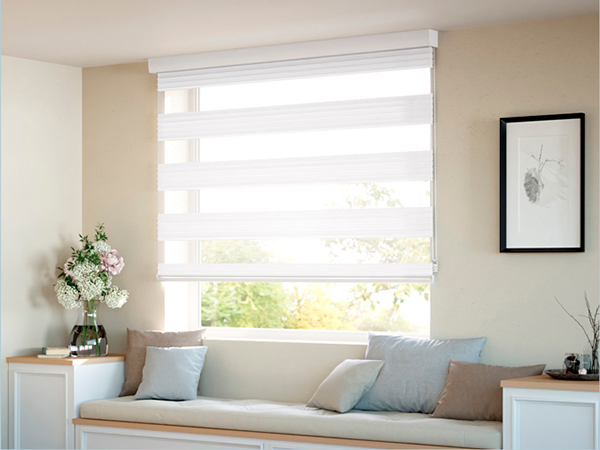 Descripción de la imagen