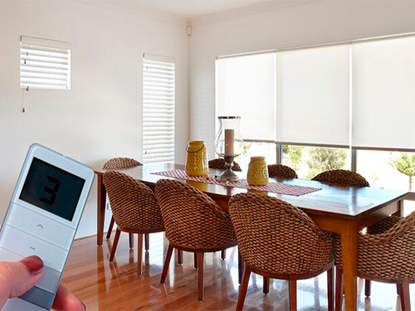 Descripción de la imagen