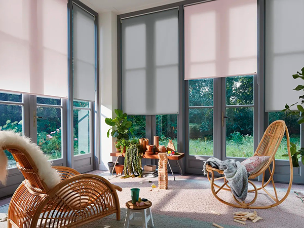 Descripción de la imagen